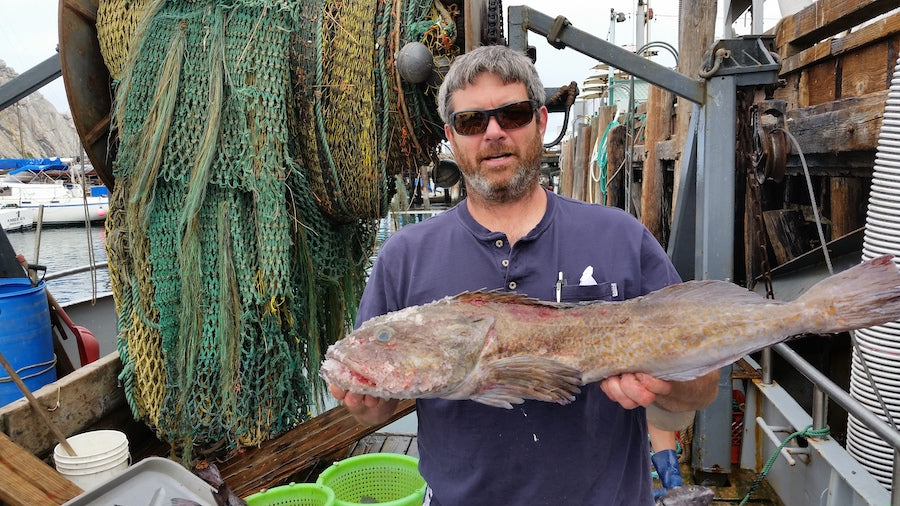 Celebrating 40 Rebuilt Fish Stocks
