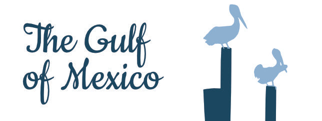 Consider the Source: Gulf of Mexico