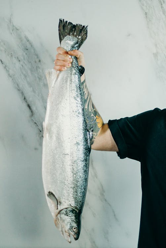 Wild Salmon vs. Farm Raised Salmon: Which is Better?
