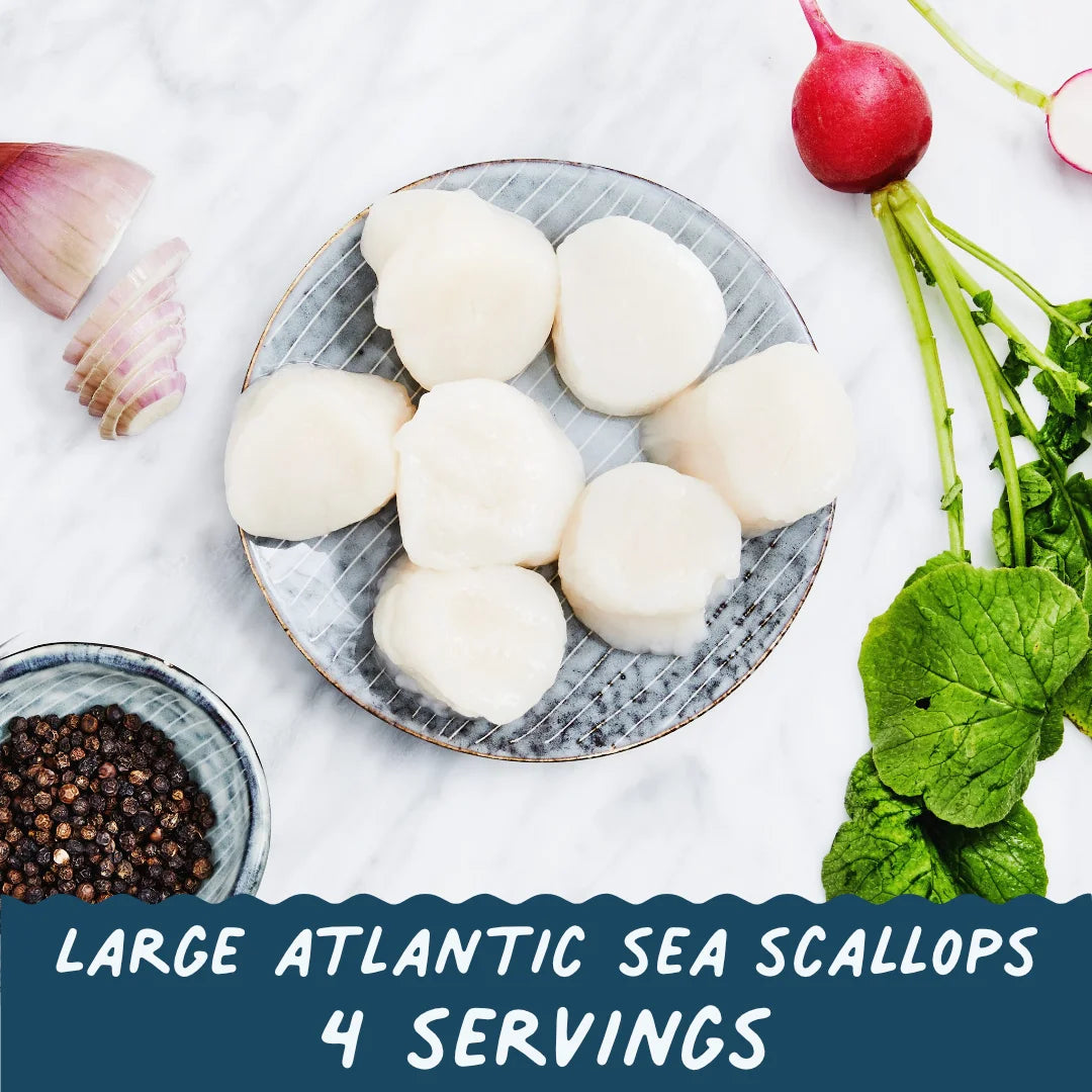 Large Atlantic Sea Scallops, 4 servings
