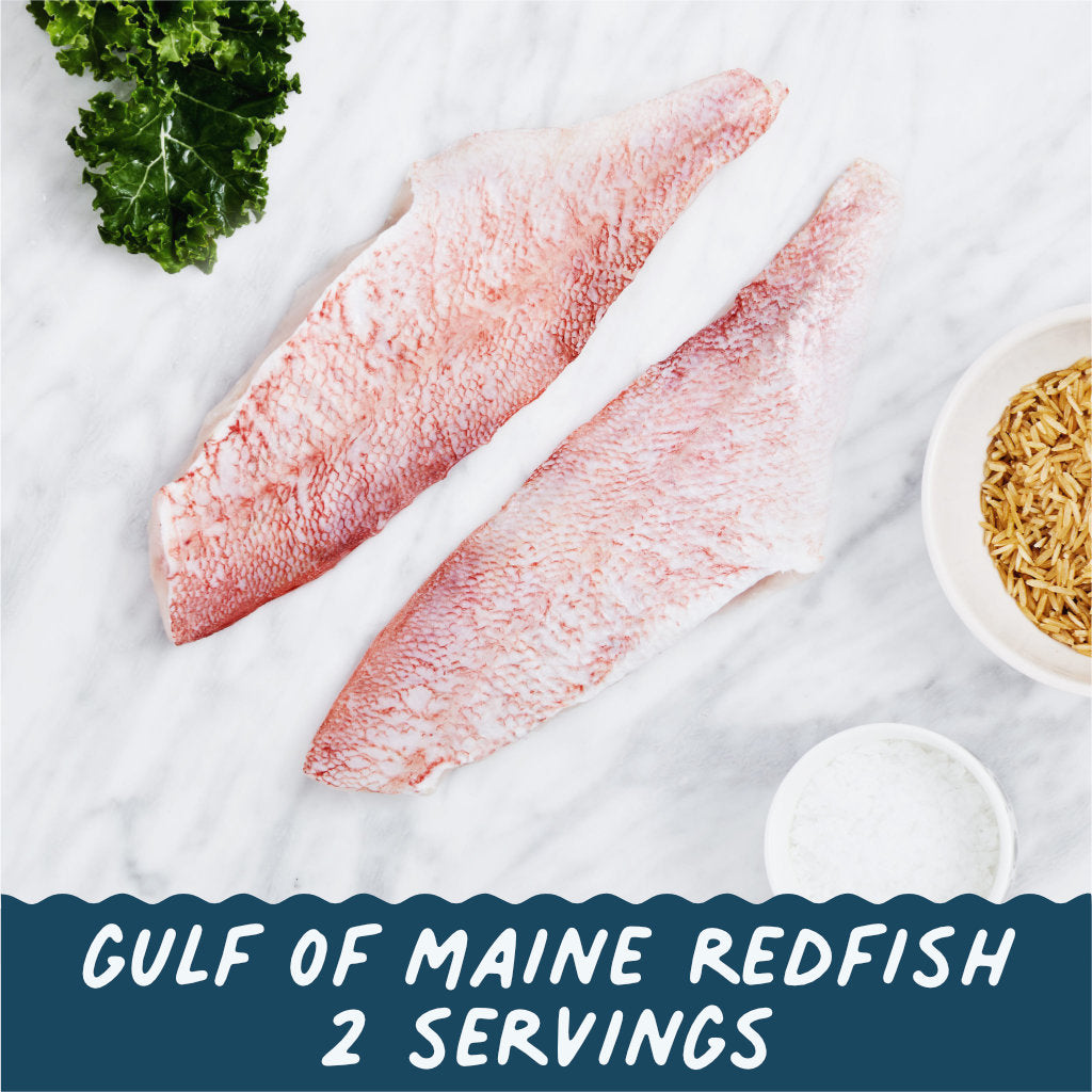 Fish Lover's Box Legacy (12 x 5-6oz servings)