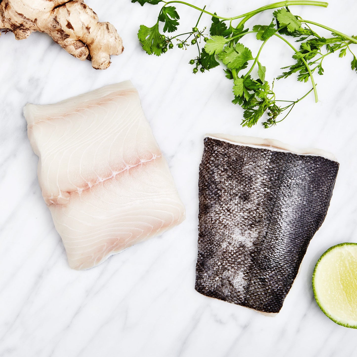 Black Cod: The Best Fish You've Never Eaten