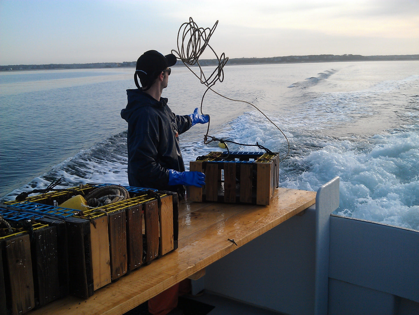 World Oceans Day: Seafood for a Healthier Planet