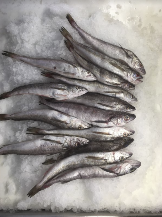 Hake, Haddock or Pollock?