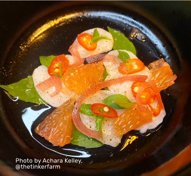 Scallop Crudo with Grapefruit