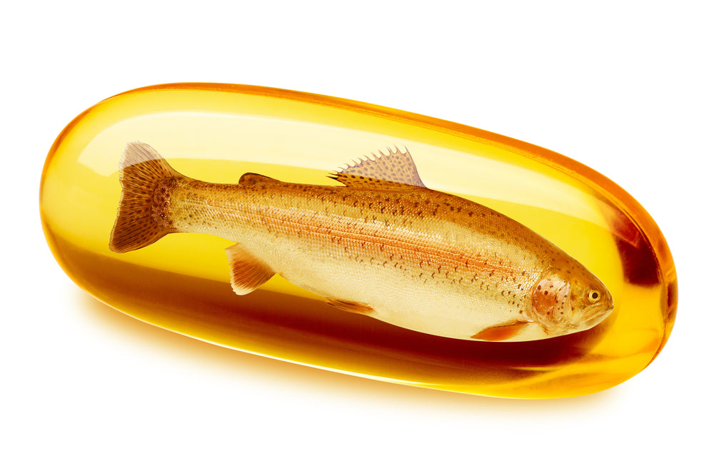Fish are rich in Omega 3's