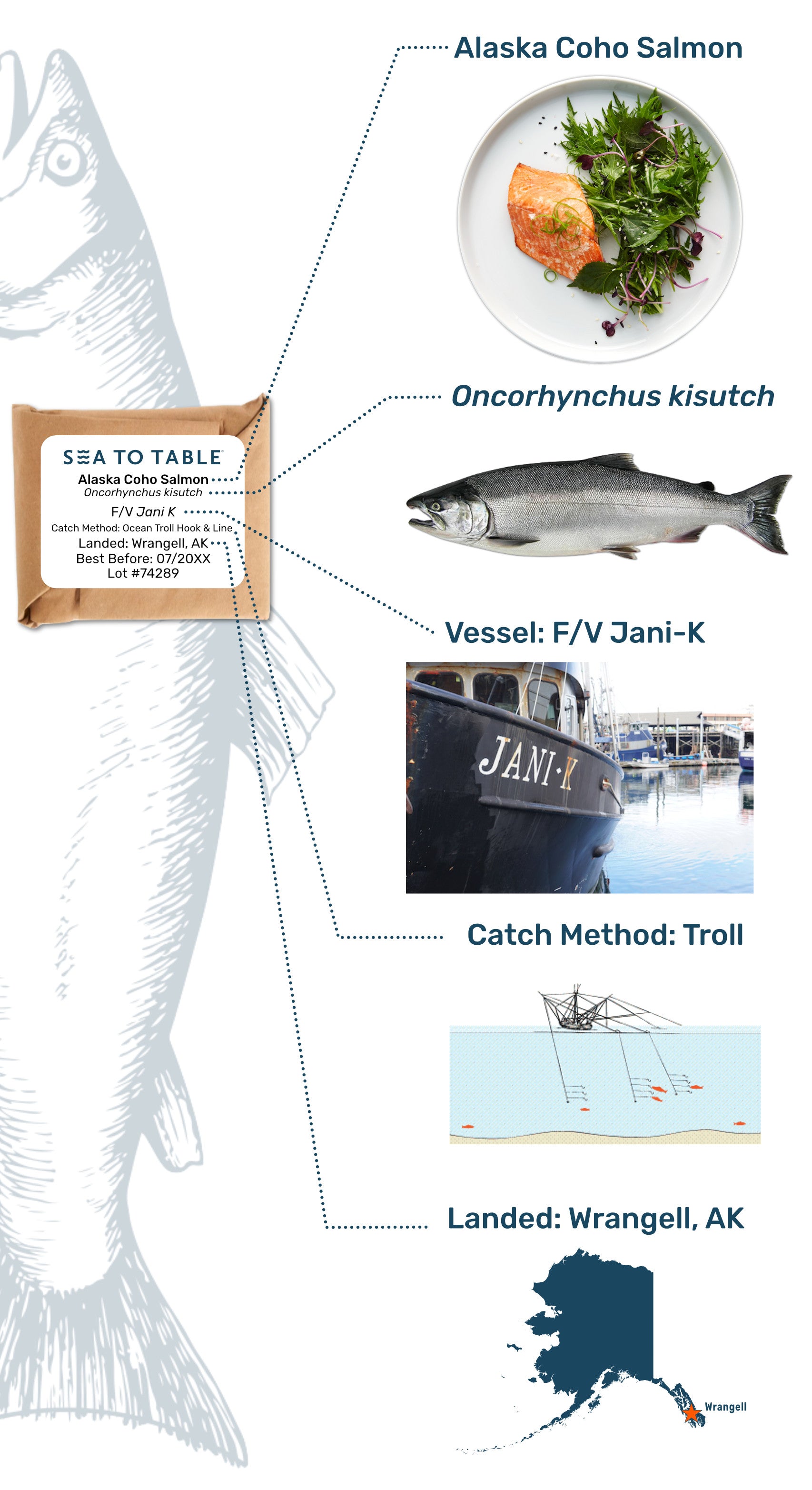 What's in a Fish Label?