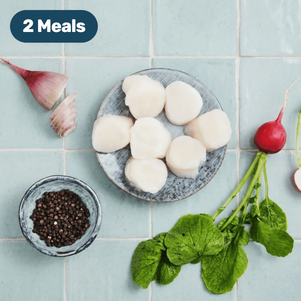 Large Atlantic Sea Scallops
